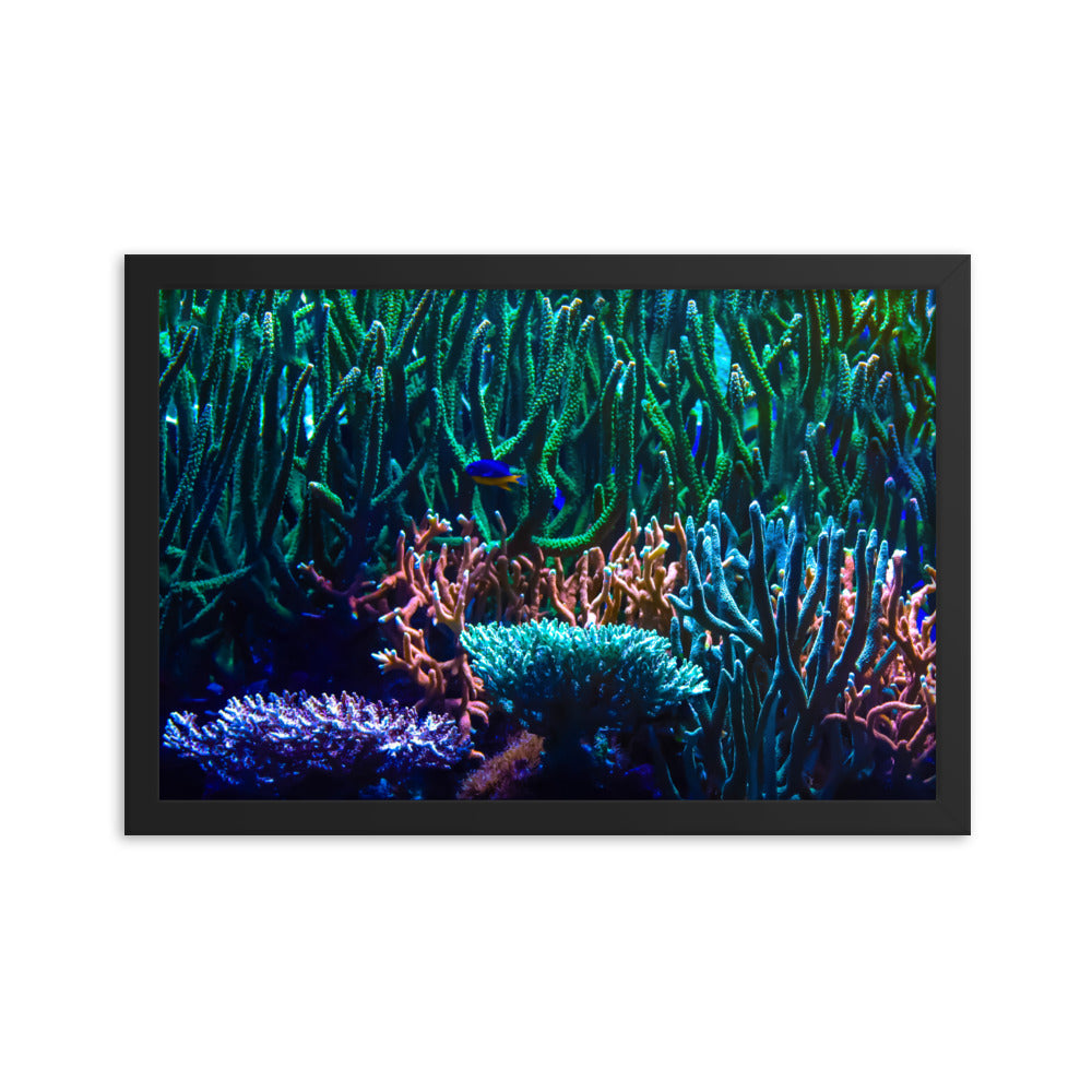 Limestone Forest - Framed Fine Art Print - Coral Reef Photography Art