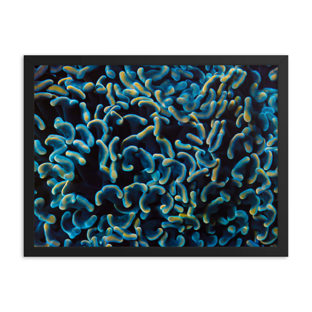 Below The Horizon - Framed Fine Art Print - Coral Reef Photography Art