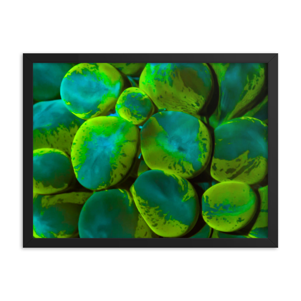 Toxic Spill  - Framed Fine Art Print - Coral Reef Photography Art