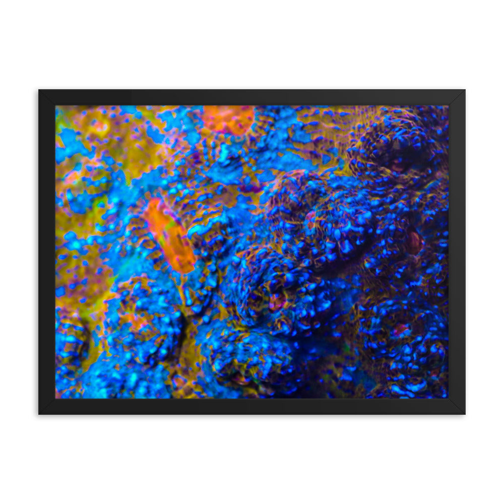 Martian Tundra - Framed Fine Art Print - Coral Reef Photography Art