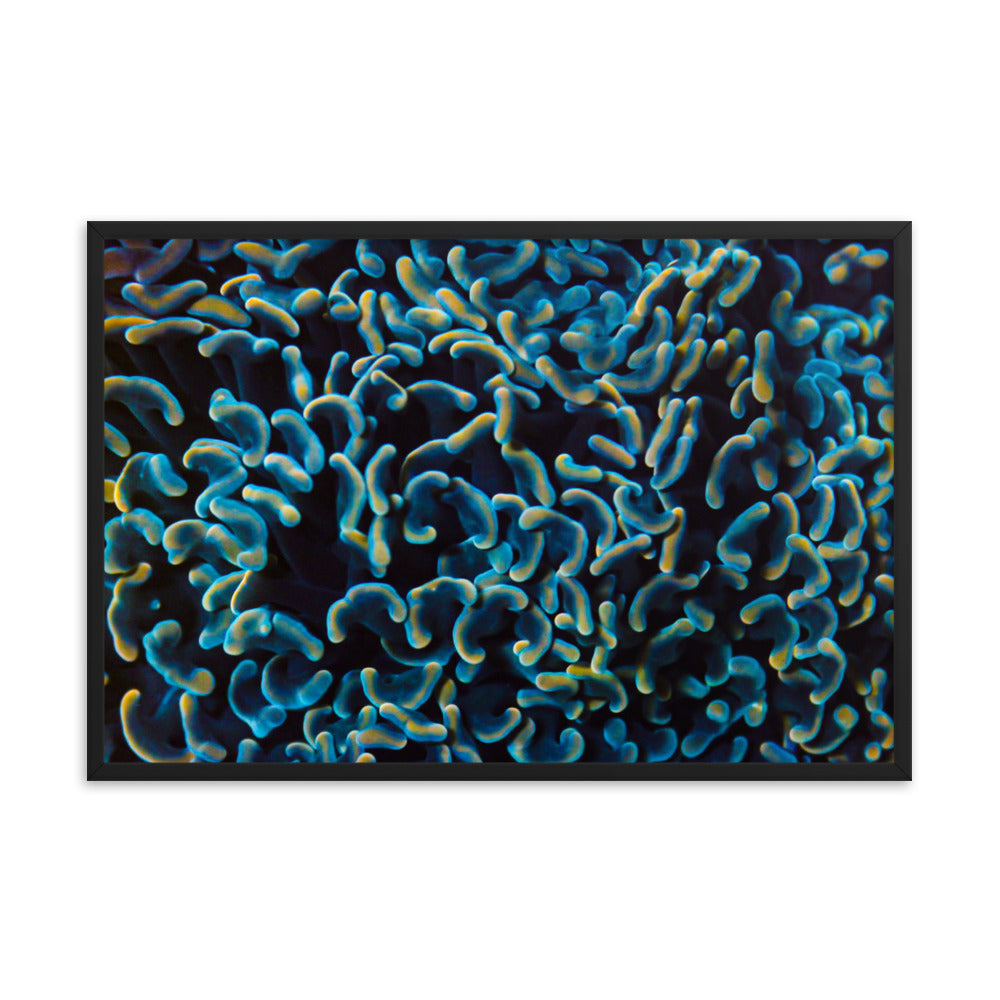 Below The Horizon - Framed Fine Art Print - Coral Reef Photography Art