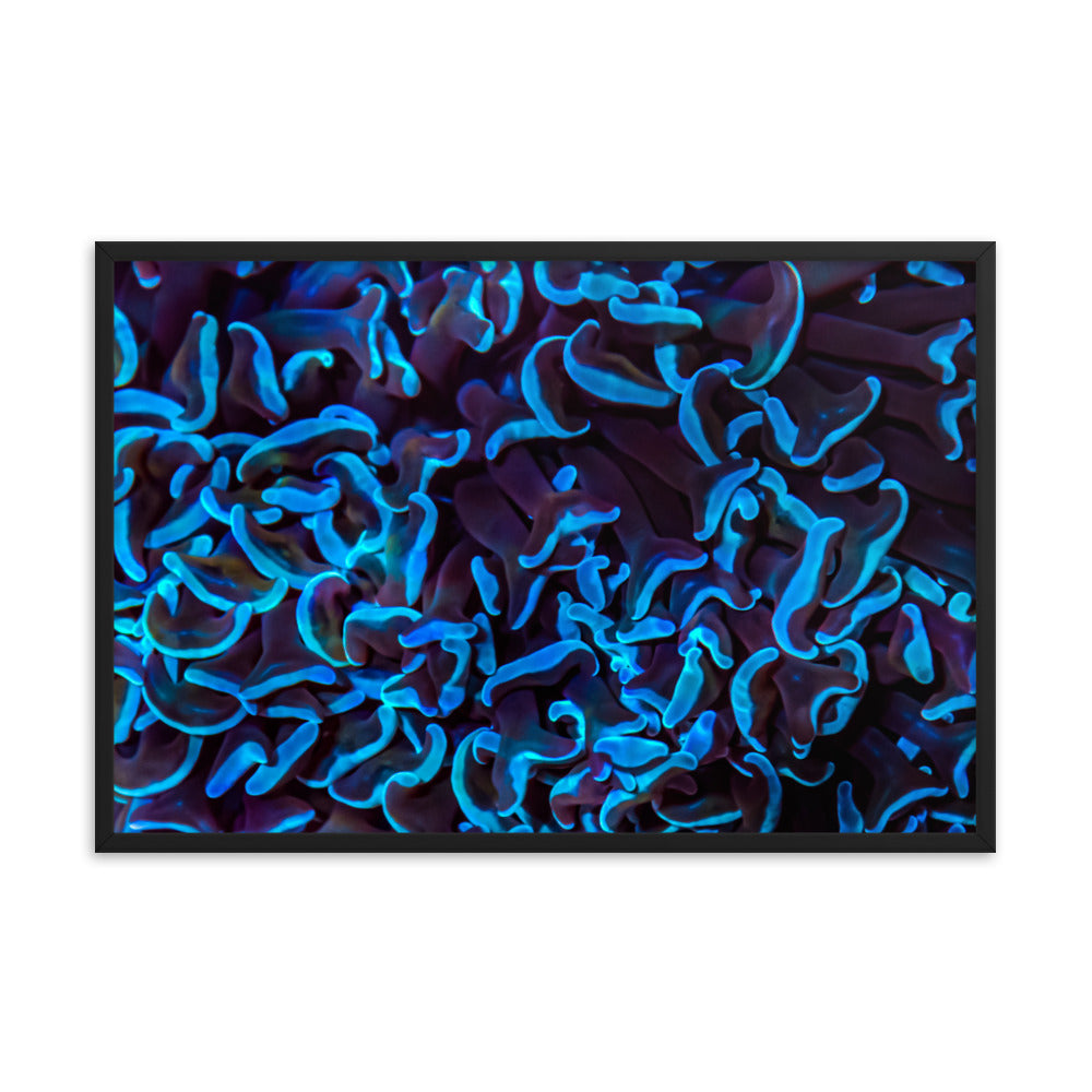 Chocolate Tides  - Framed Fine Art Print - Coral Reef Photography Art