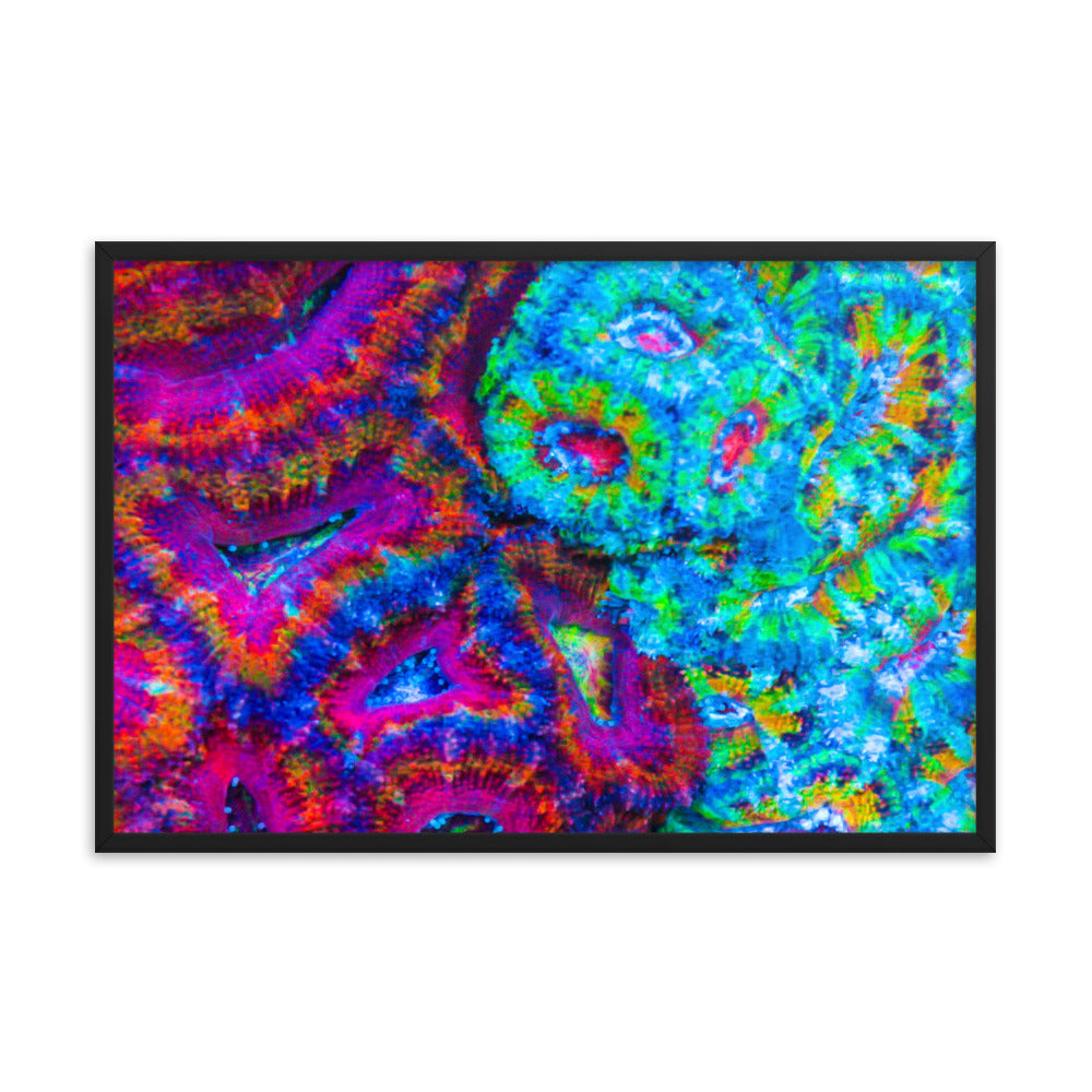 DreamWeaver  - Framed Fine Art Print - Coral Reef Photography Art