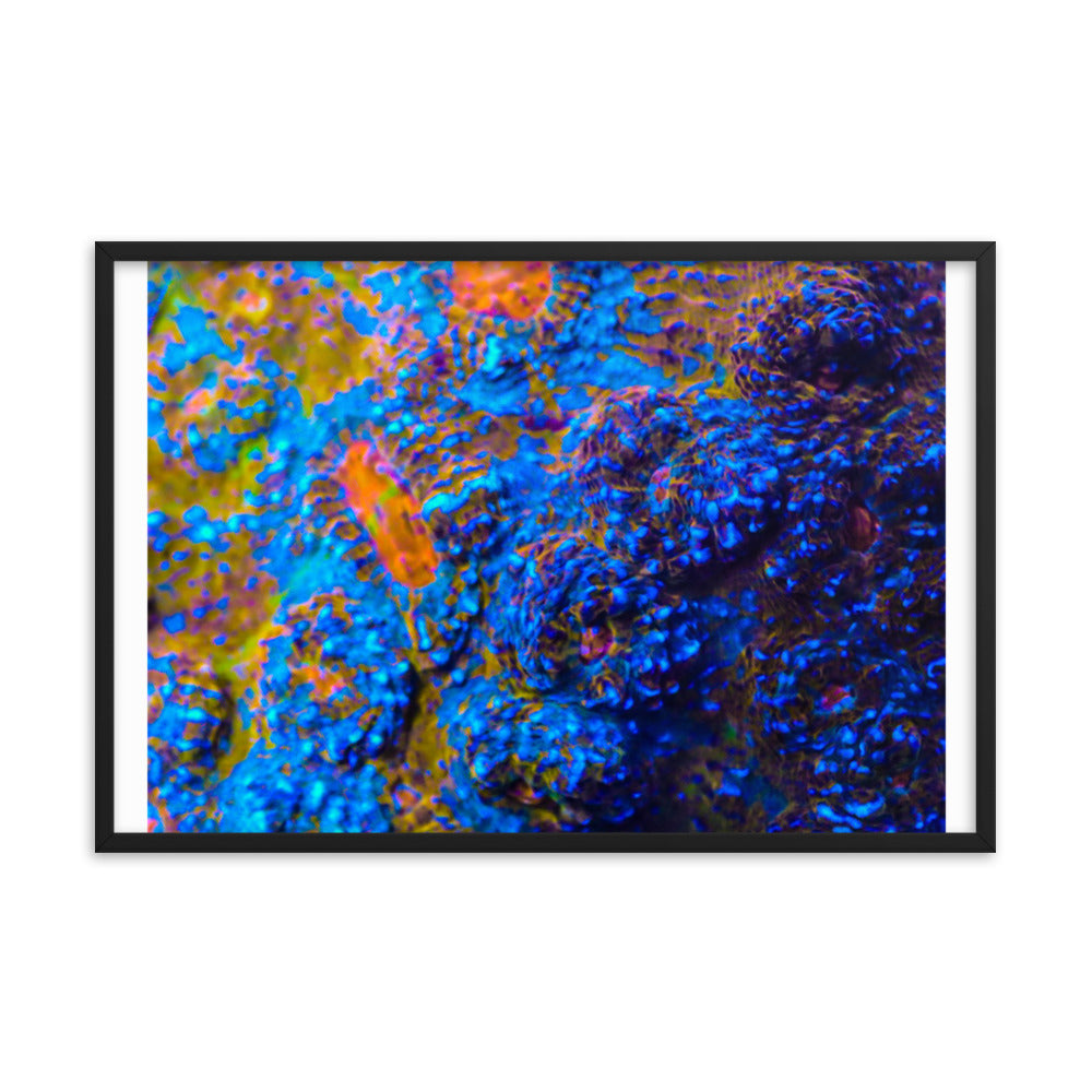Martian Tundra - Framed Fine Art Print - Coral Reef Photography Art