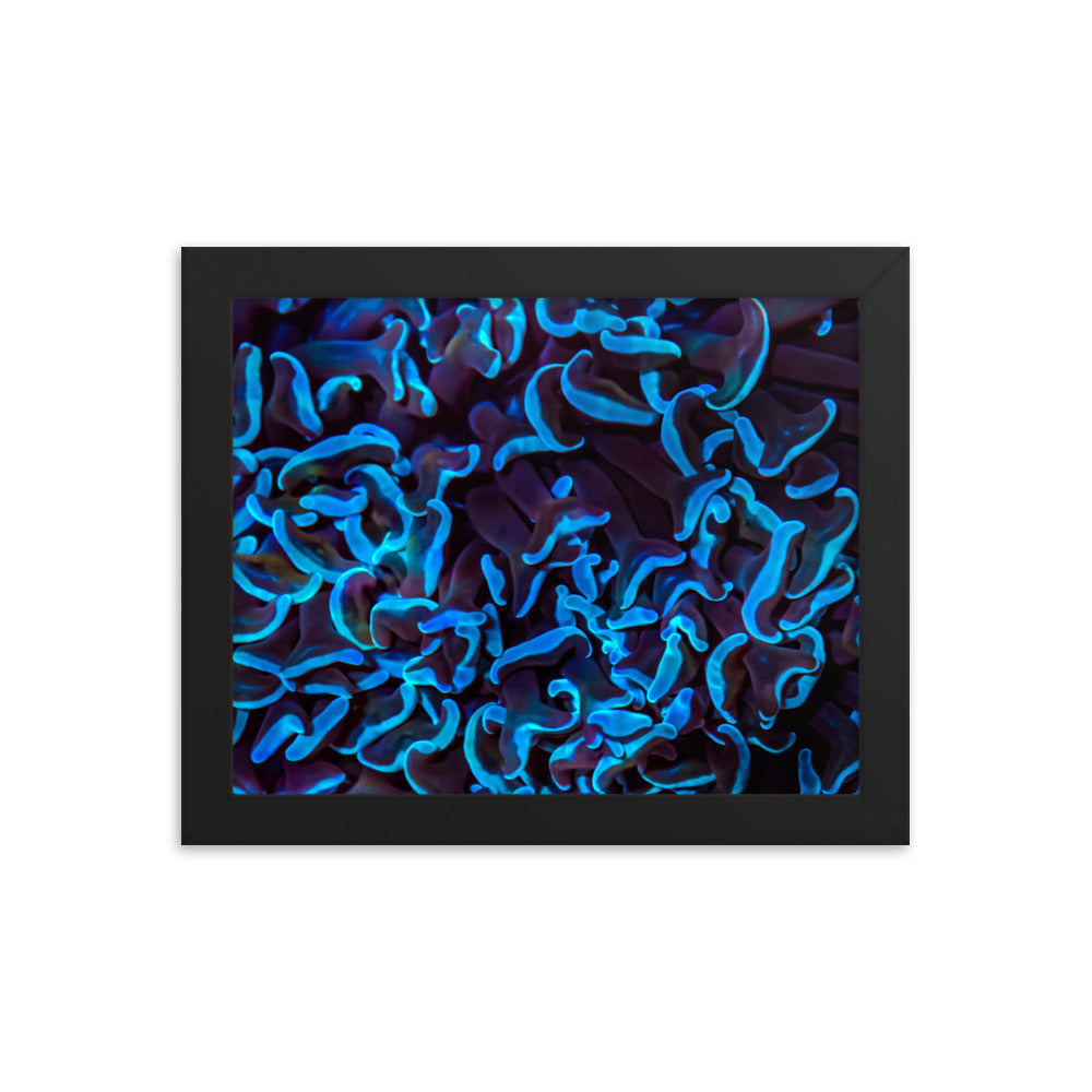 Chocolate Tides  - Framed Fine Art Print - Coral Reef Photography Art