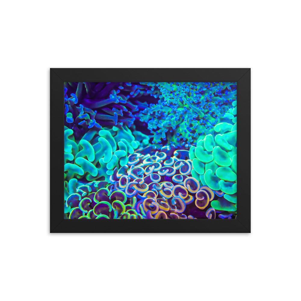 Coral Bouquet - Framed Fine Art Print - Coral Reef Photography Art
