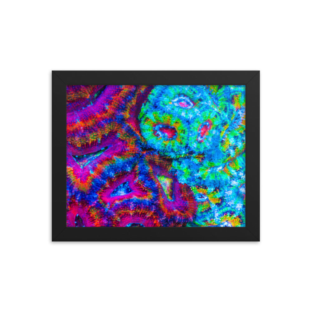 DreamWeaver  - Framed Fine Art Print - Coral Reef Photography Art
