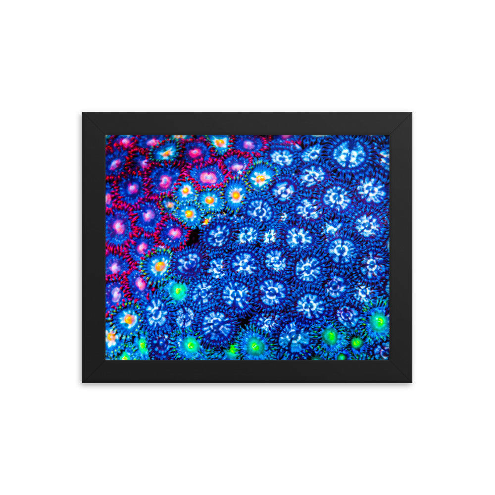 Winter Florals  - Framed Fine Art Print - Coral Reef Photography Art