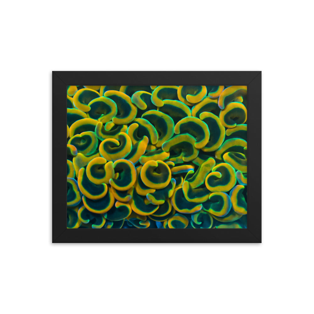 Yellow Brick Rainbow Road - Framed Fine Art Print - Coral Reef Photography Art