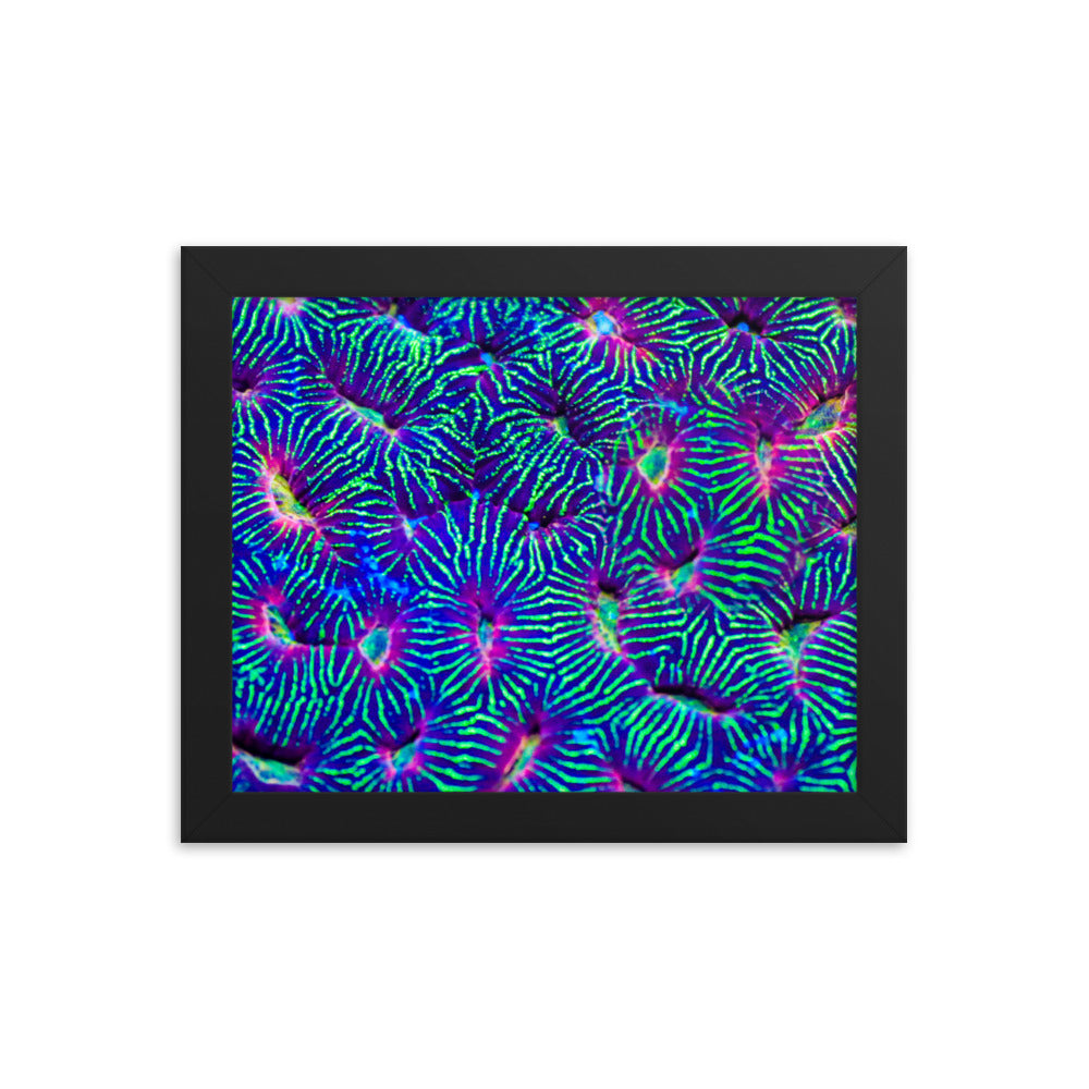 Jungle Stop - Framed Fine Art Print - Coral Reef Photography Art