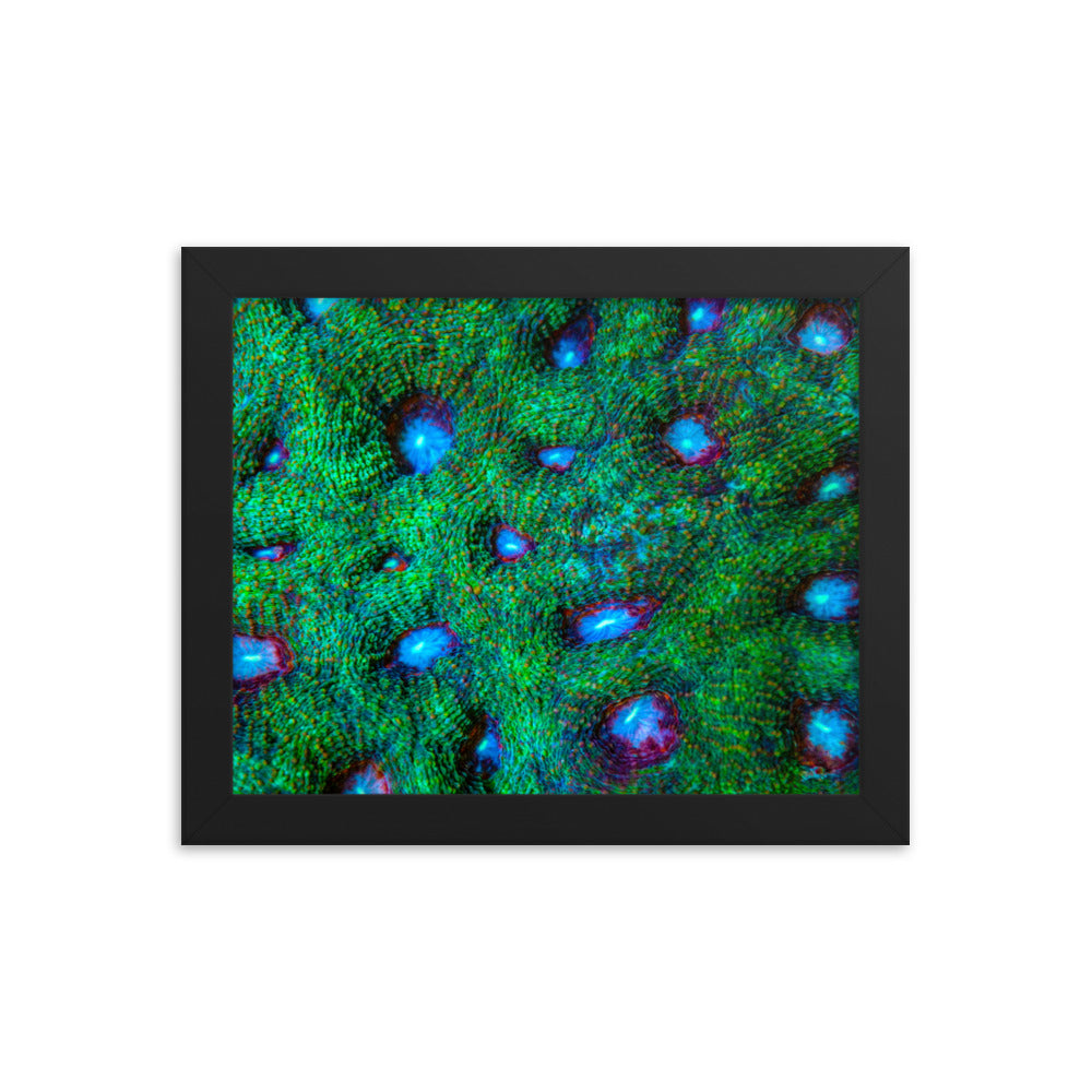 Land Of Ten Thousand Lakes - Framed Fine Art Print - Coral Reef Photography Art