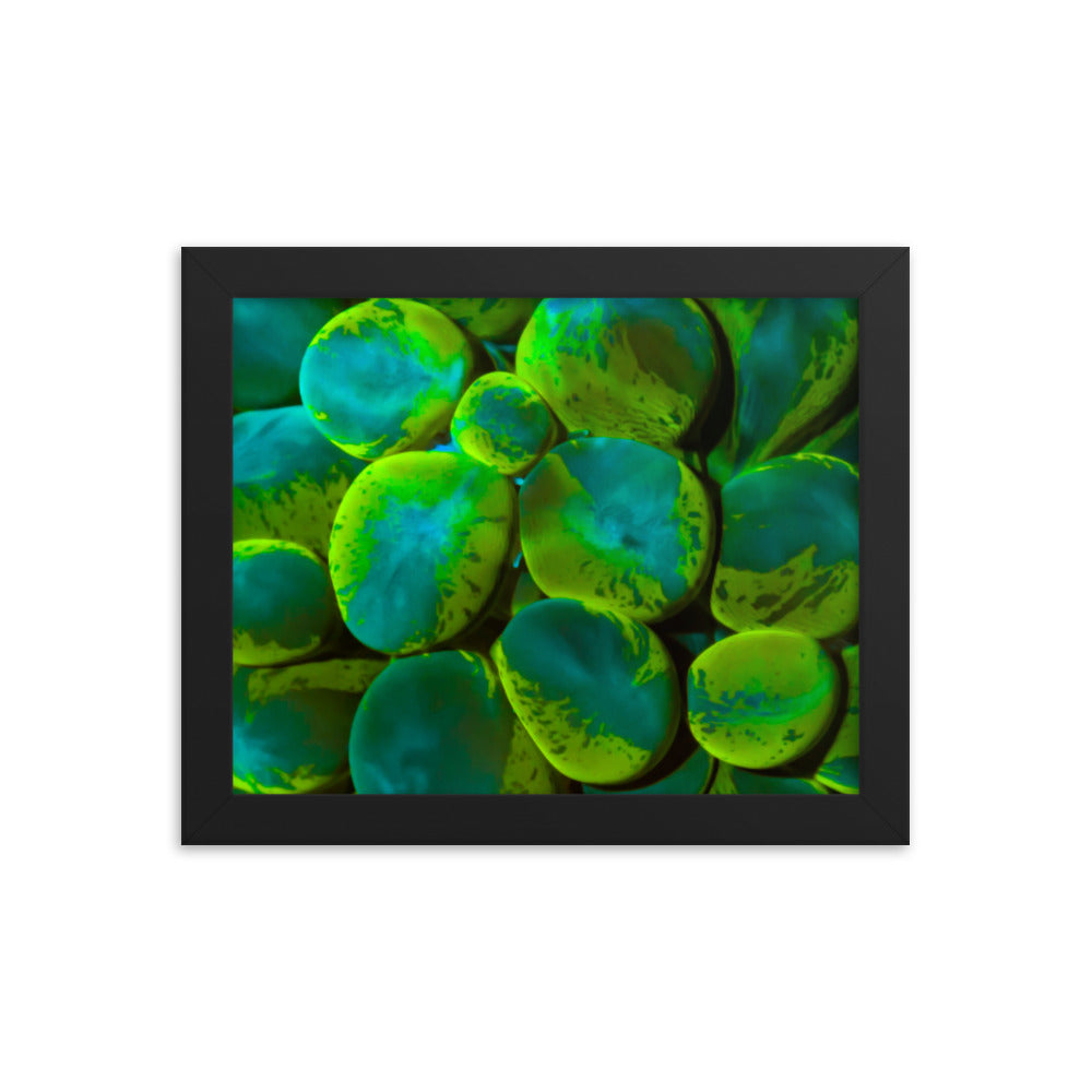 Toxic Spill  - Framed Fine Art Print - Coral Reef Photography Art