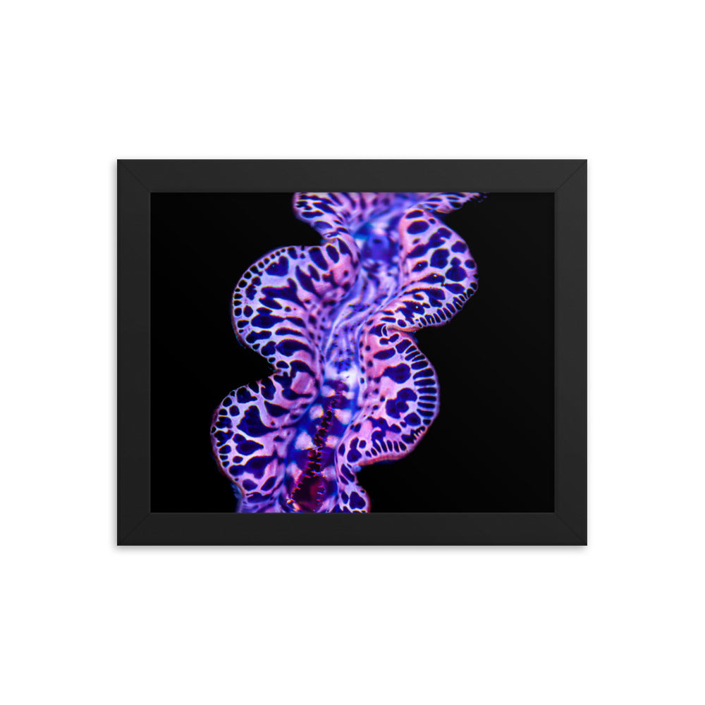Plasma Portal - Framed Fine Art Print - Coral Reef Photography Art