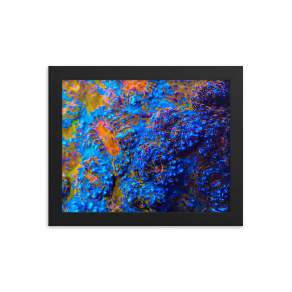 Martian Tundra - Framed Fine Art Print - Coral Reef Photography Art
