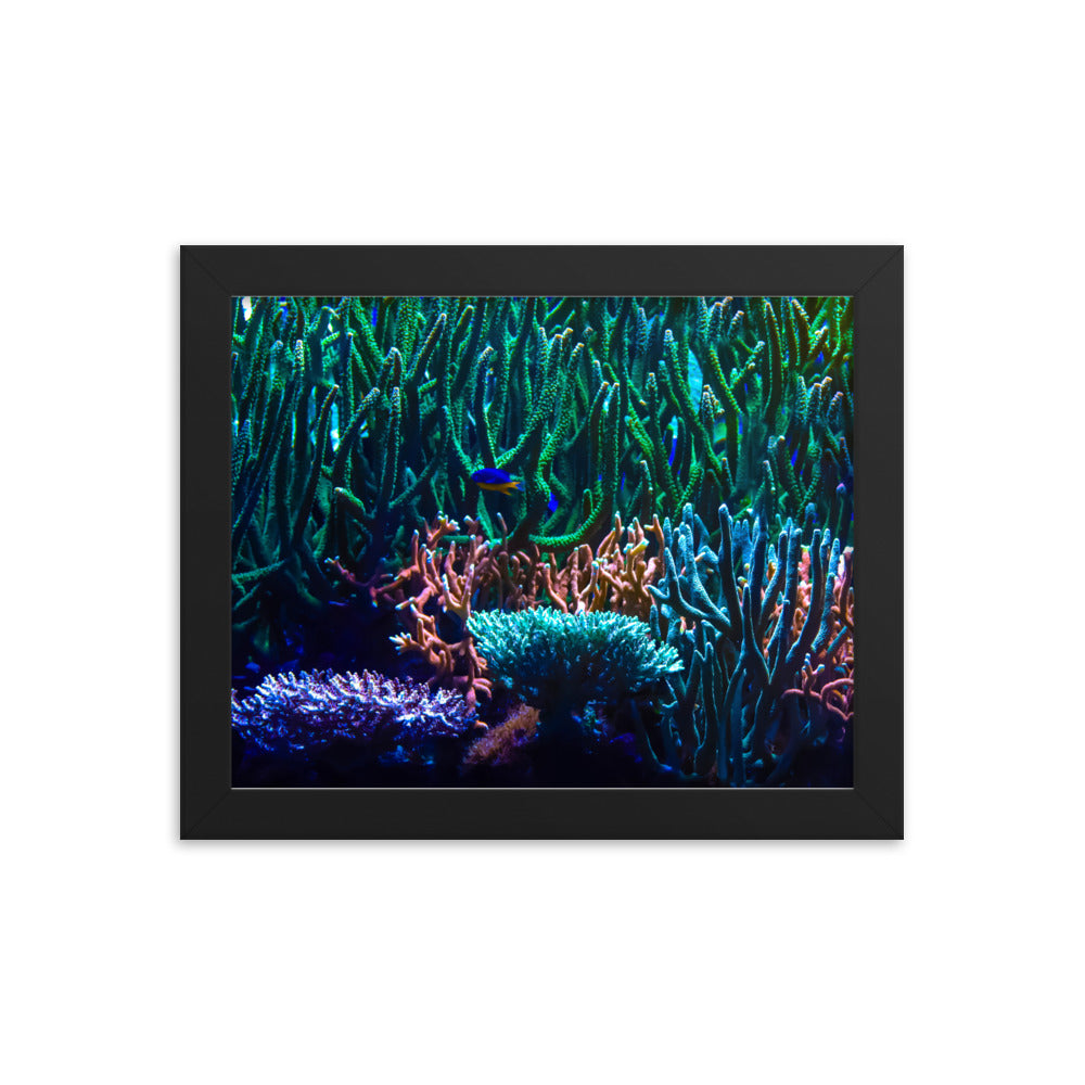 Limestone Forest - Framed Fine Art Print - Coral Reef Photography Art
