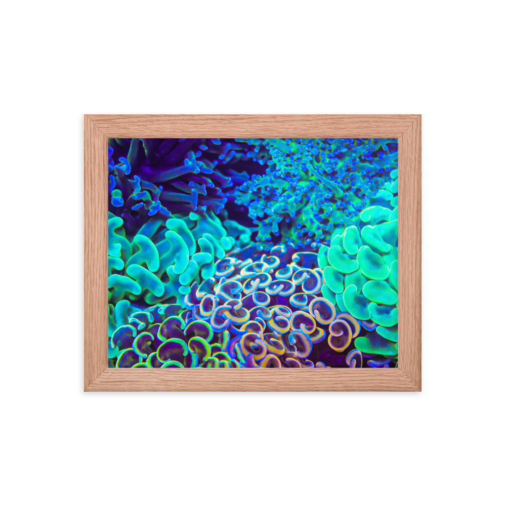 Coral Bouquet - Framed Fine Art Print - Coral Reef Photography Art