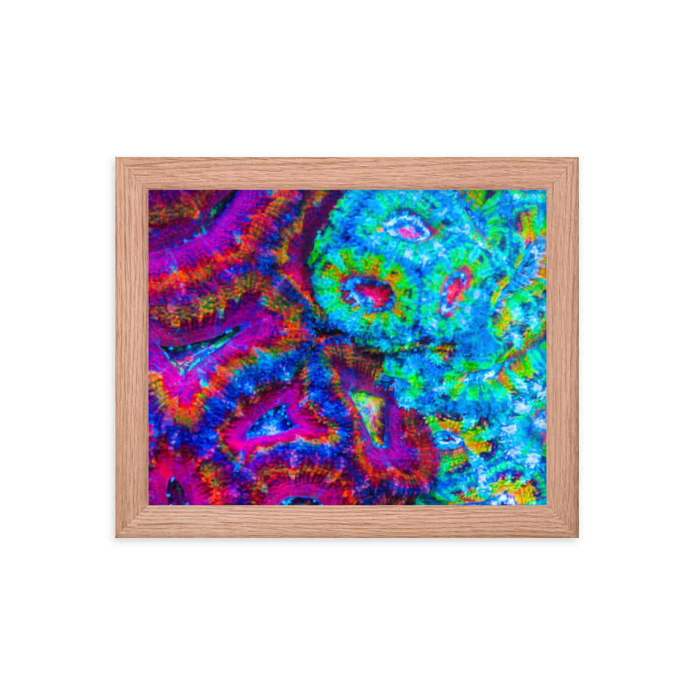 DreamWeaver  - Framed Fine Art Print - Coral Reef Photography Art