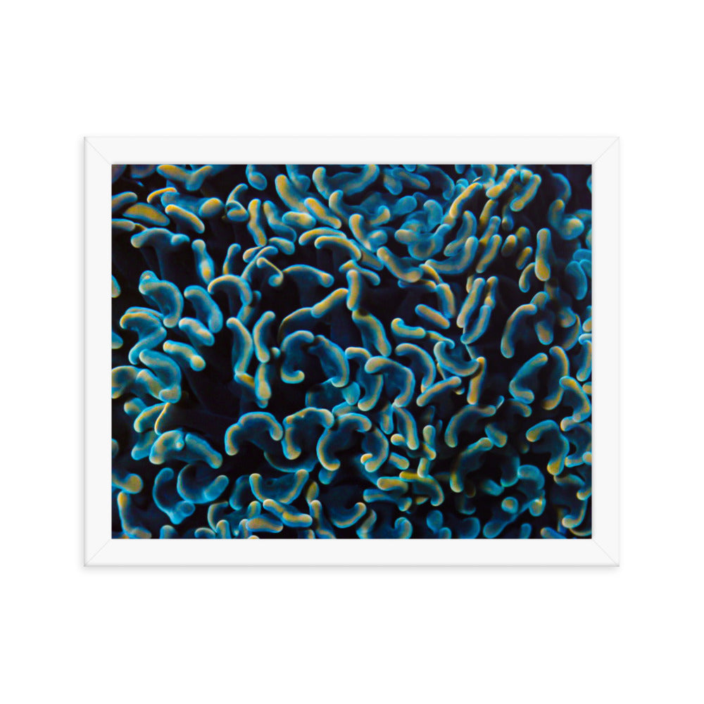 Below The Horizon - Framed Fine Art Print - Coral Reef Photography Art