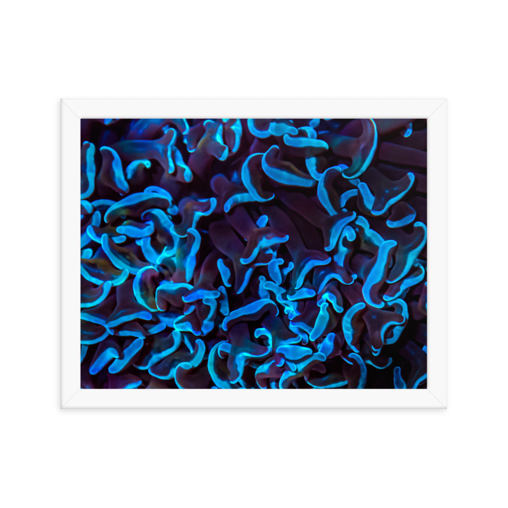 Chocolate Tides  - Framed Fine Art Print - Coral Reef Photography Art