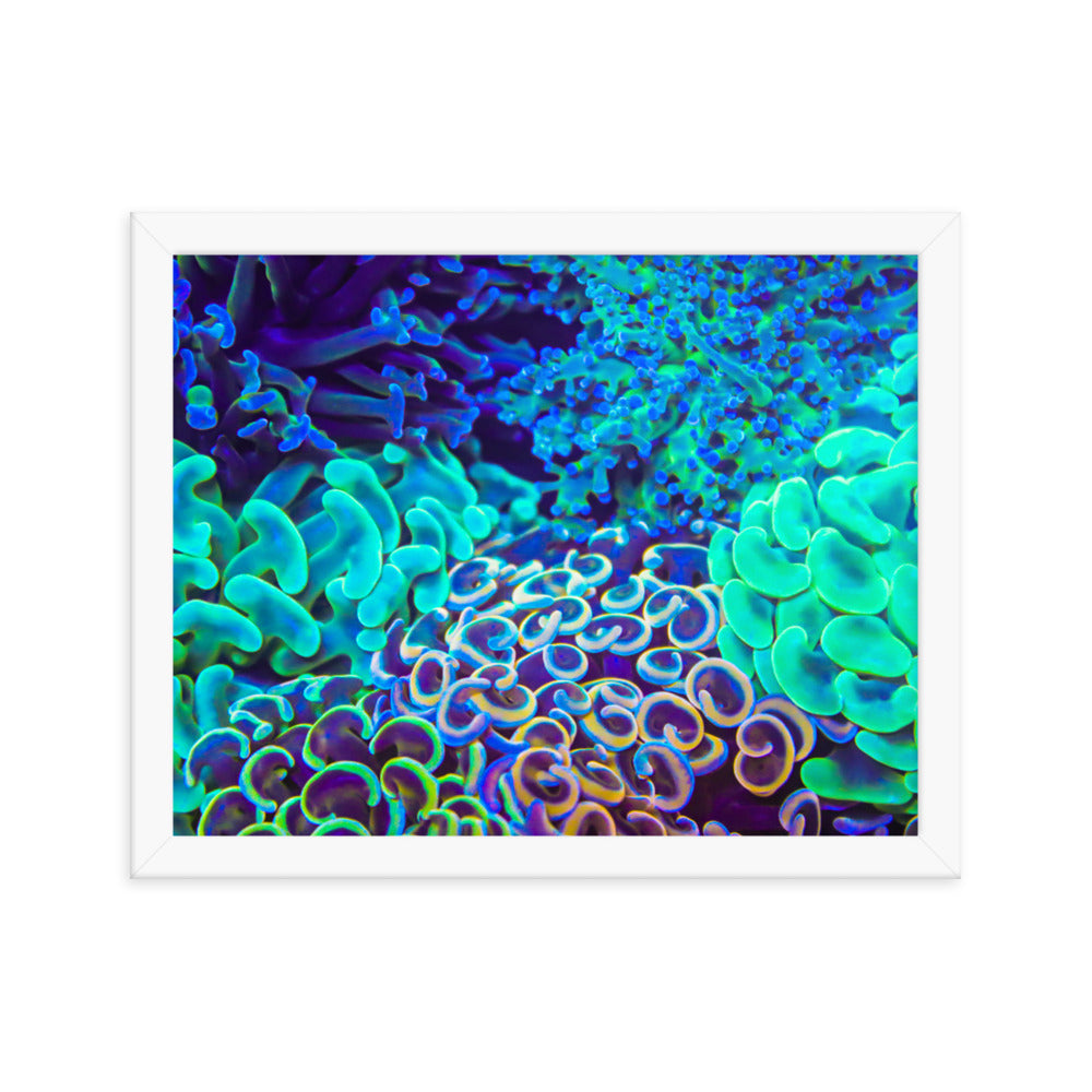 Coral Bouquet - Framed Fine Art Print - Coral Reef Photography Art