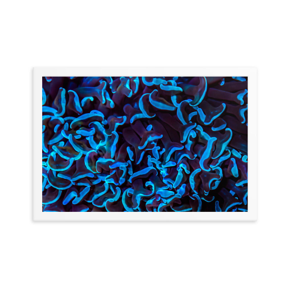 Chocolate Tides  - Framed Fine Art Print - Coral Reef Photography Art