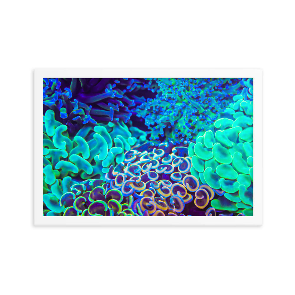 Coral Bouquet - Framed Fine Art Print - Coral Reef Photography Art
