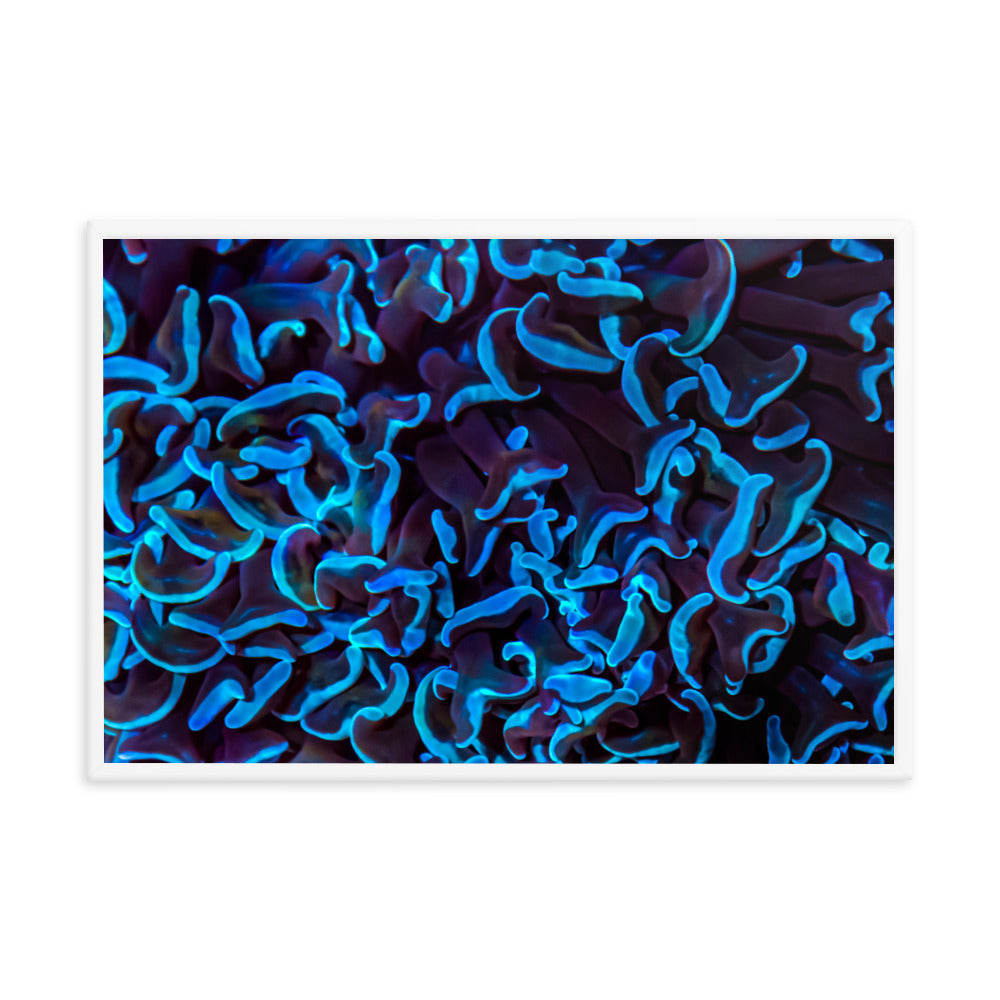 Chocolate Tides  - Framed Fine Art Print - Coral Reef Photography Art