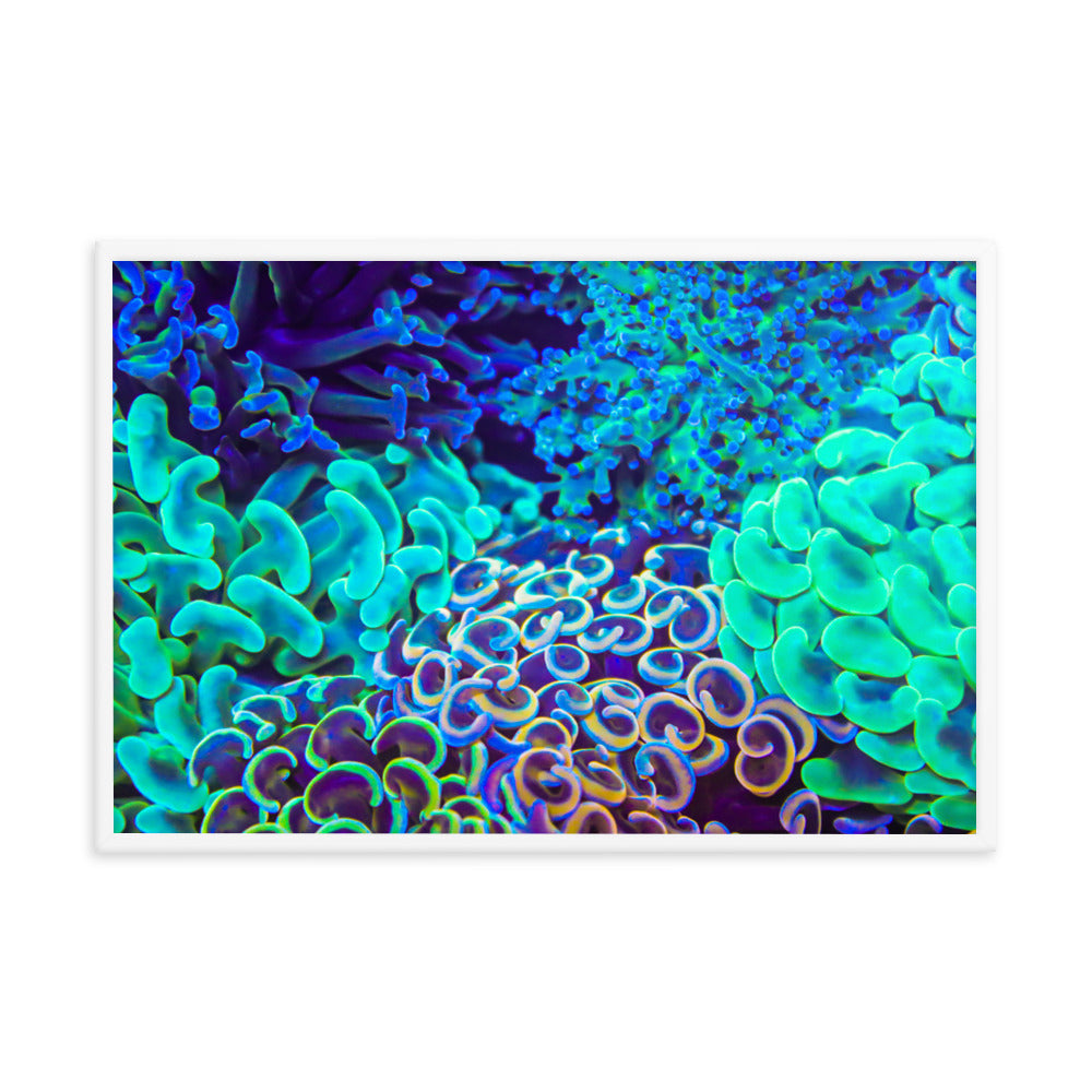 Coral Bouquet - Framed Fine Art Print - Coral Reef Photography Art