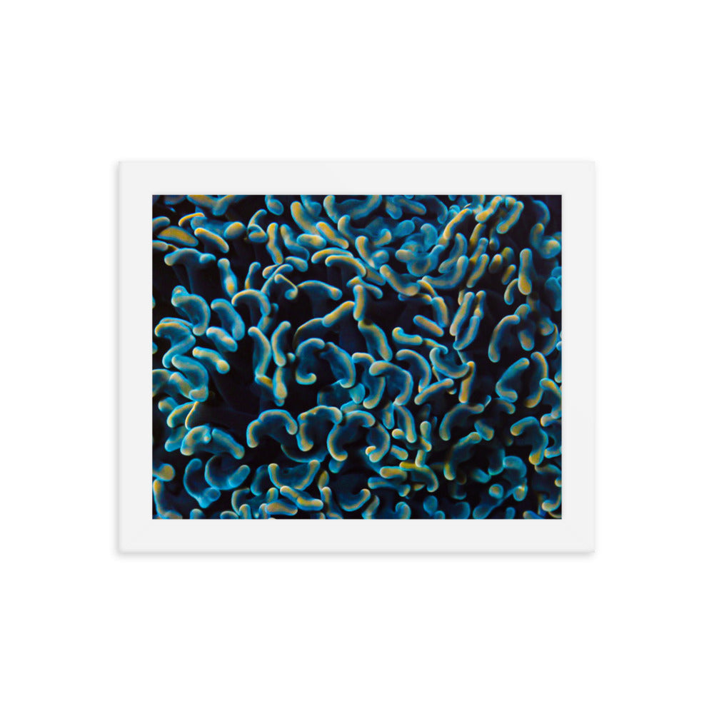 Below The Horizon - Framed Fine Art Print - Coral Reef Photography Art