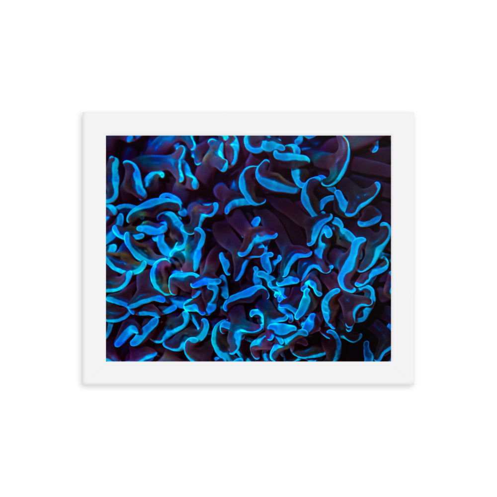 Chocolate Tides  - Framed Fine Art Print - Coral Reef Photography Art
