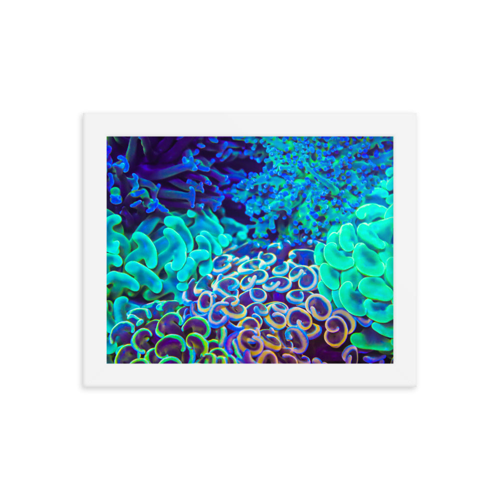Coral Bouquet - Framed Fine Art Print - Coral Reef Photography Art