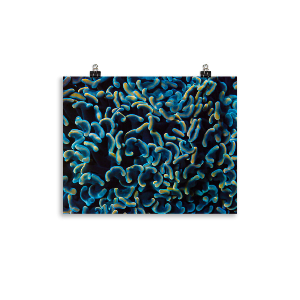 Below The Horizon - Fine Art Print - Coral Reef Photography Art