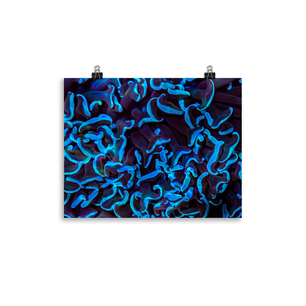 Chocolate Tides  - Canvas - Coral Reef Photography Art