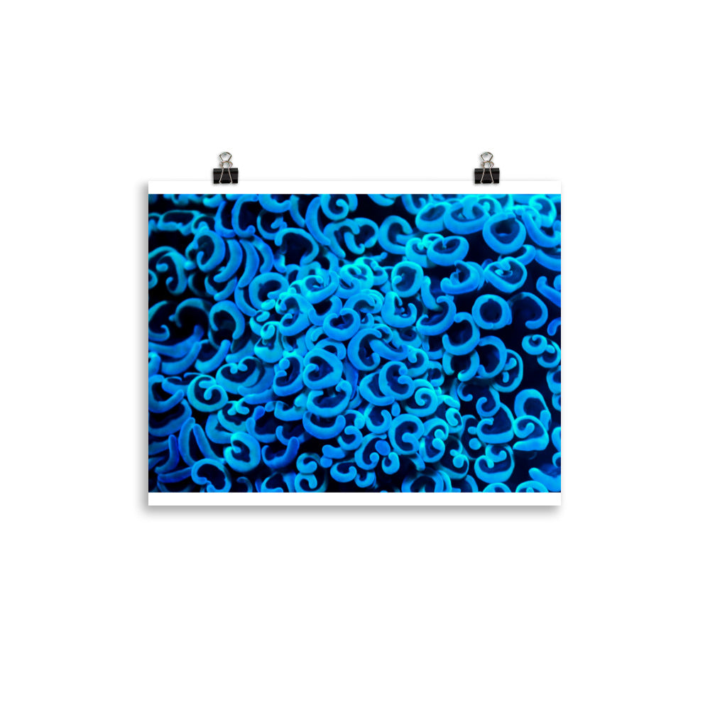 Photo paper poster