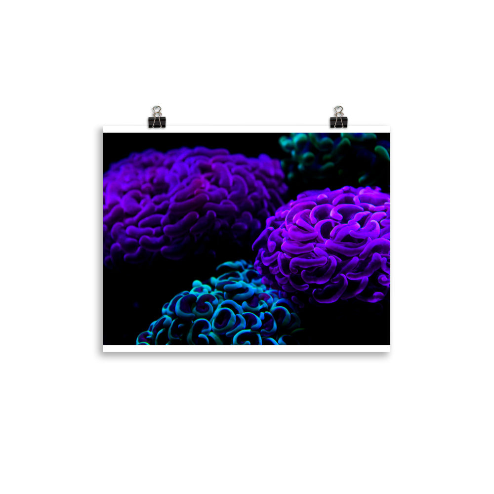 Photo paper poster