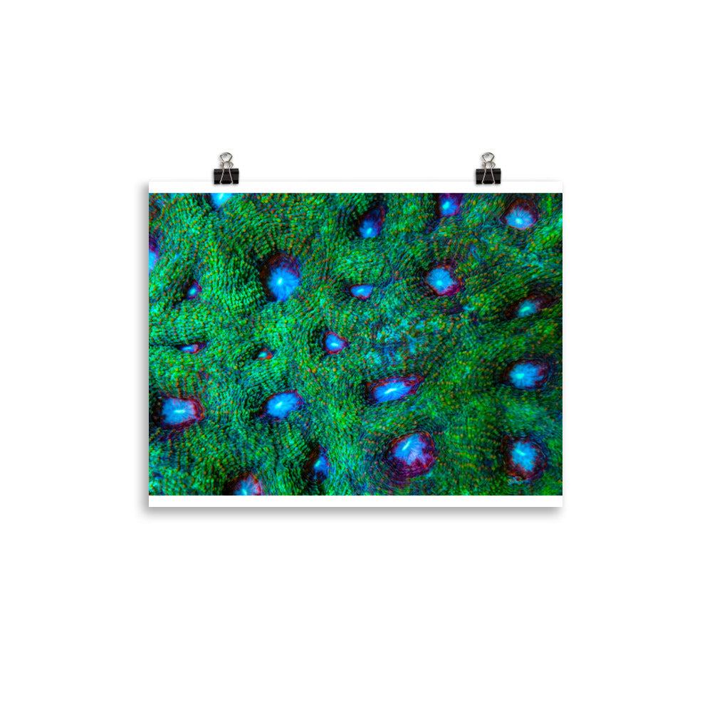 Land Of Ten Thousand Lakes - Fine Art Print - Coral Reef Photography Art