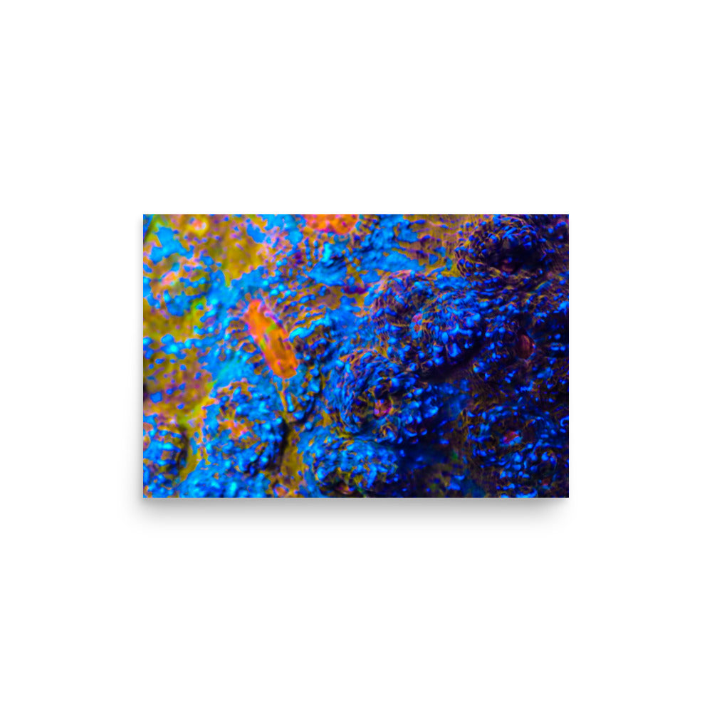 Martian Tundra - Fine Art Print - Coral Reef Photography Art