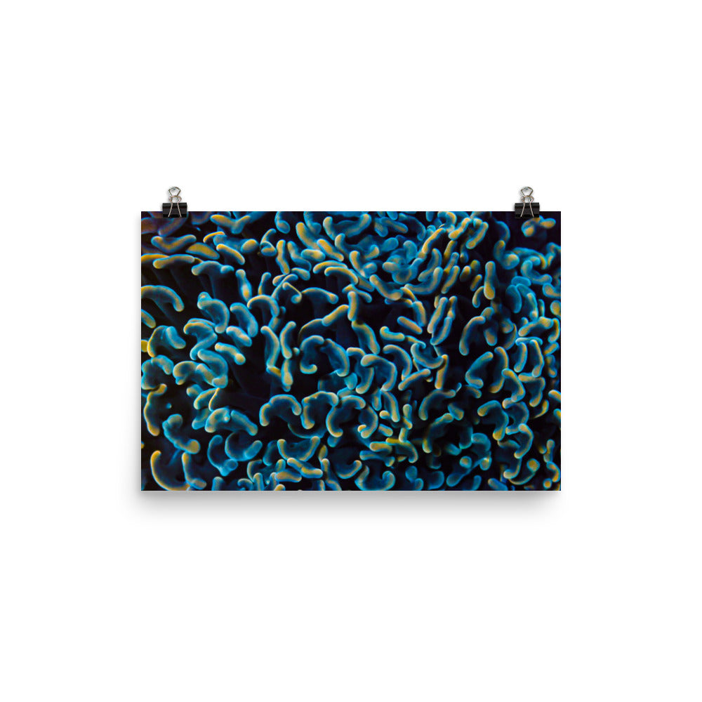 Below The Horizon - Fine Art Print - Coral Reef Photography Art