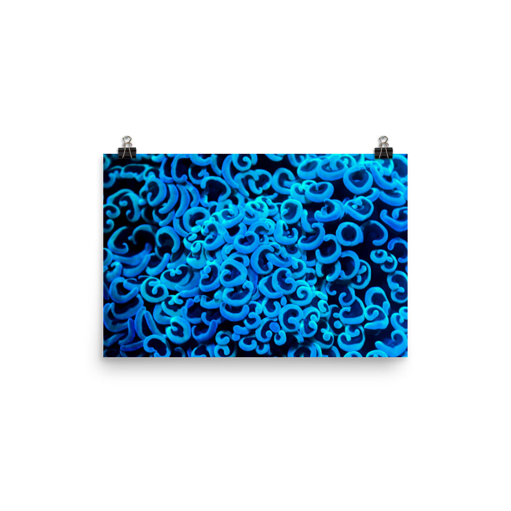 Photo paper poster
