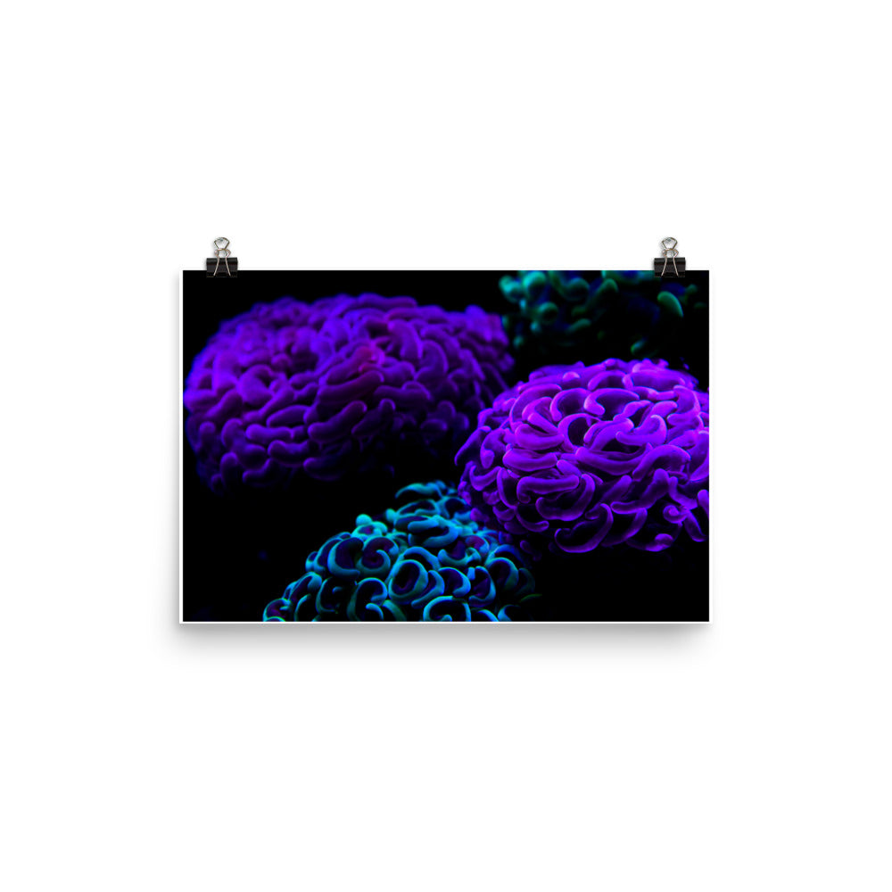 Photo paper poster