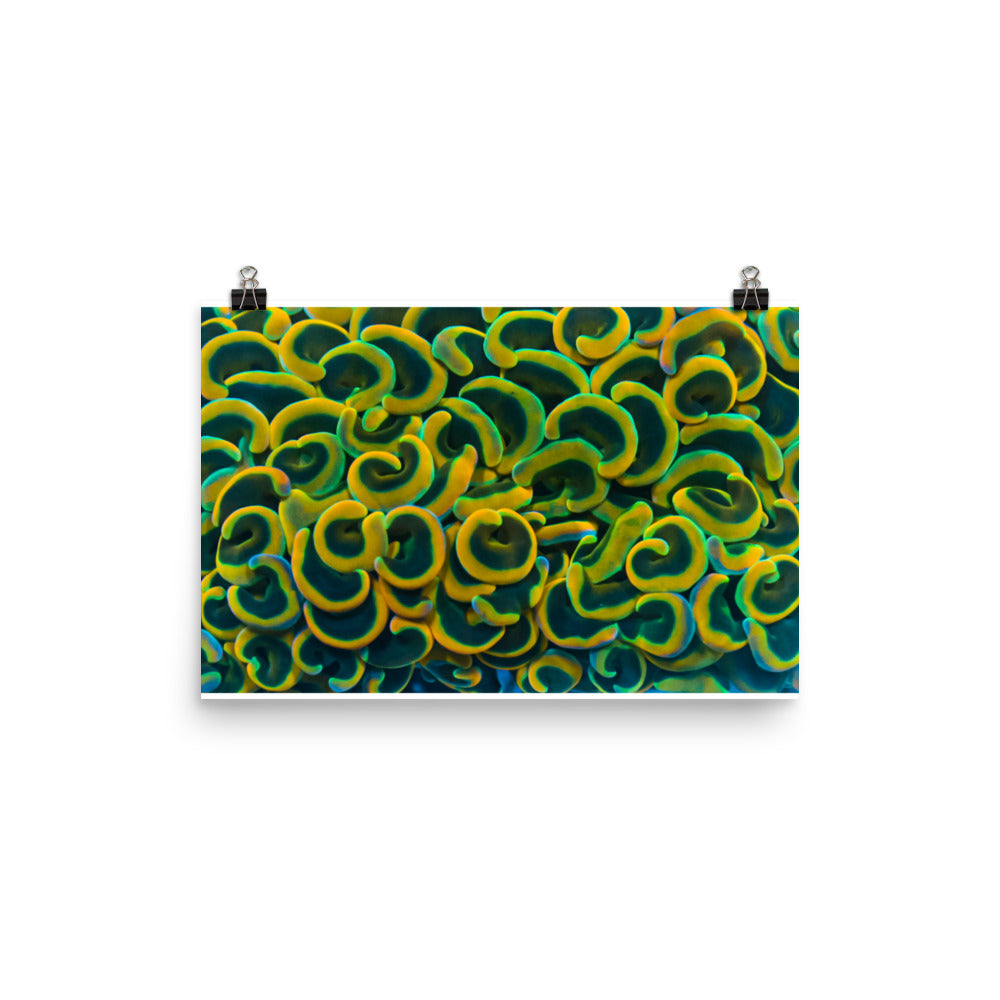 Yellow Brick Rainbow Road - Fine Art Print - Coral Reef Photography Art