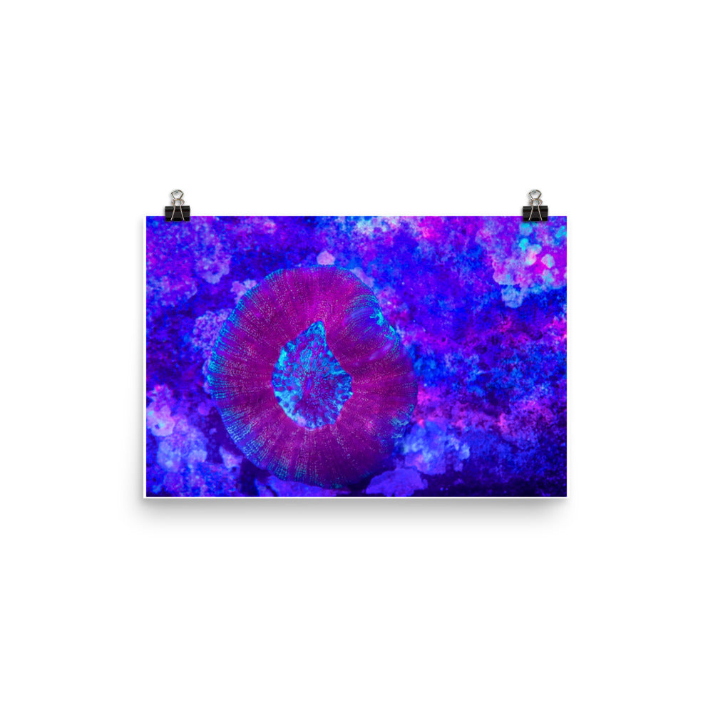 Iridescent Rain - Fine Art Print - Coral Reef Photography Art