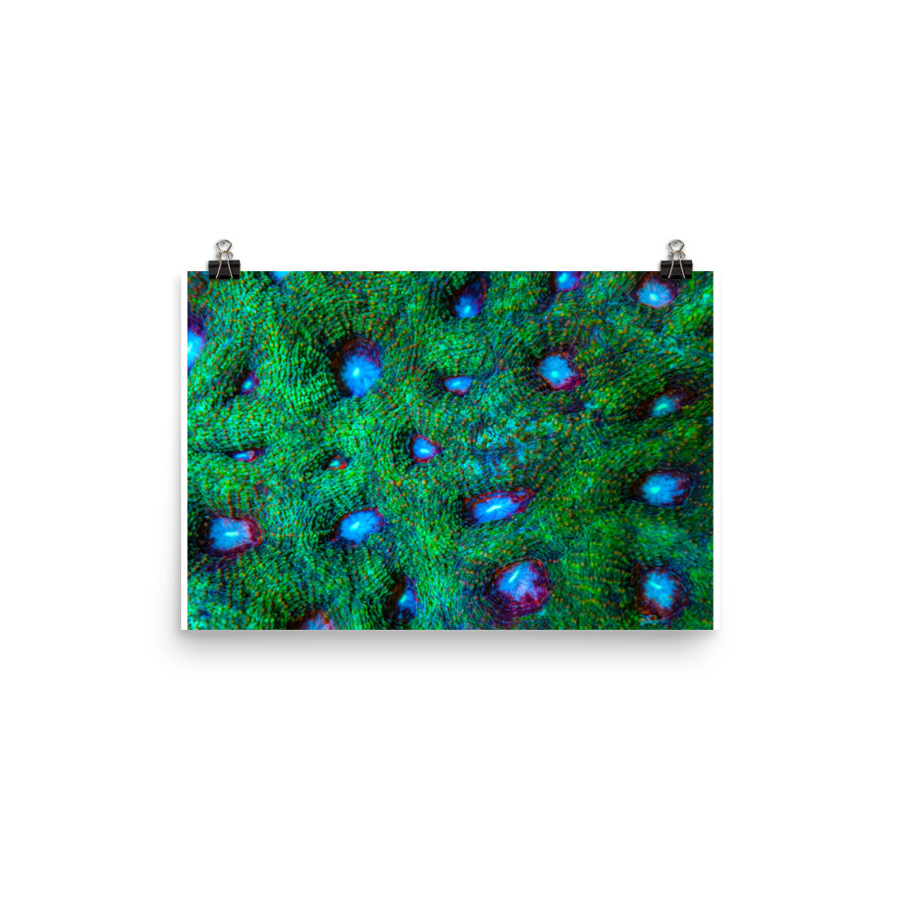 Land Of Ten Thousand Lakes - Fine Art Print - Coral Reef Photography Art