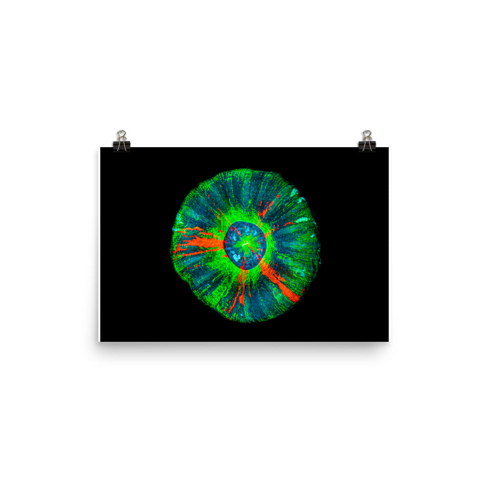 Oculus - Fine Art Print - Coral Reef Photography Art
