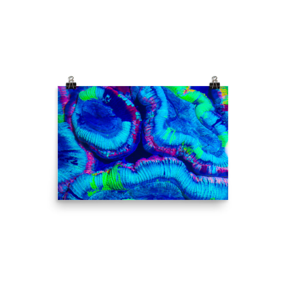 Rave Paint - Fine Art Print - Coral Reef Photography Art