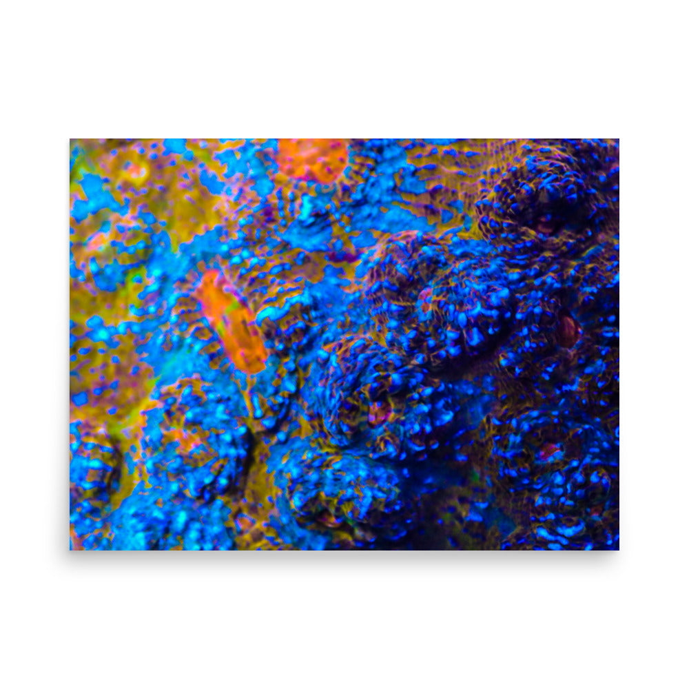 Martian Tundra - Fine Art Print - Coral Reef Photography Art