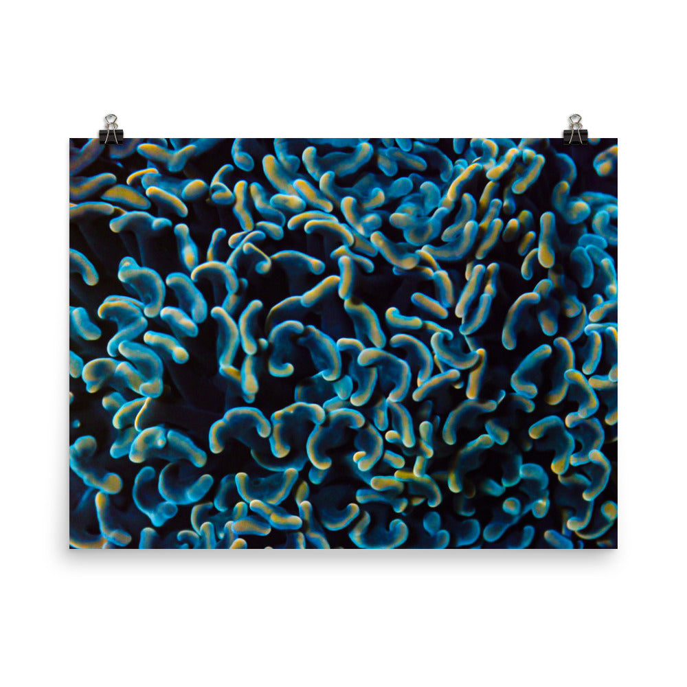 Below The Horizon - Fine Art Print - Coral Reef Photography Art