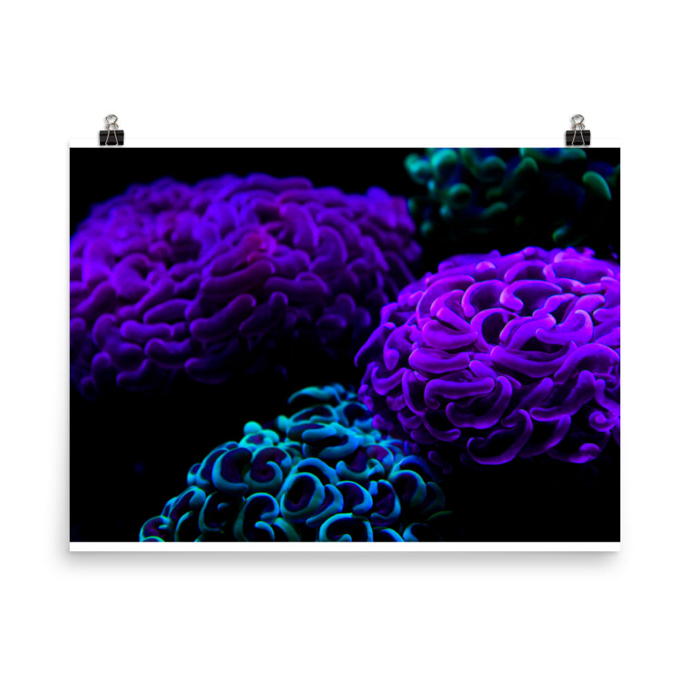 Photo paper poster