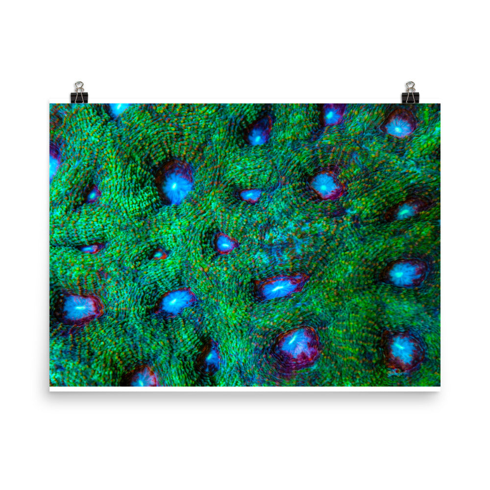 Land Of Ten Thousand Lakes - Fine Art Print - Coral Reef Photography Art