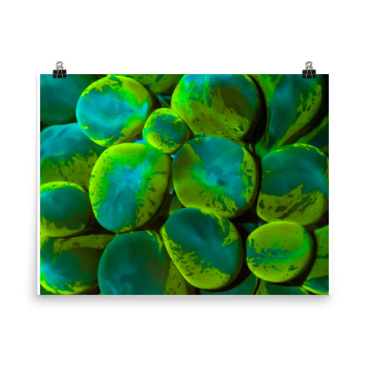 Toxic Spill  - Fine Art Print - Coral Reef Photography Art